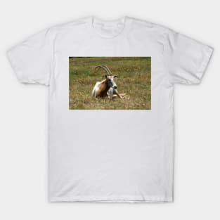 Scimitar Horned Antelope T-Shirt